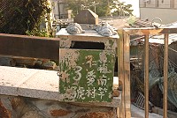 家門口的珍藏　圖與文：邱竟瑋
