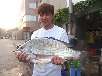 破紀錄「大物」出水(圖:李治樺釣友提供、文:陳鵬雄)