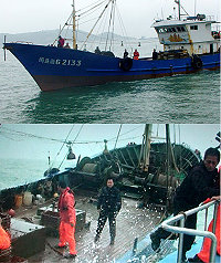 大陸鐵殼船惹禍肇逃,海洋巡防總局馬祖海巡特勤隊出動押回。(圖:馬祖海巡隊提供)