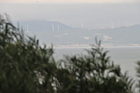 他山之石－黃岐風力發電（圖與文：陳鵬雄）