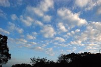 浮雲遊子　圖與文：邱竟瑋