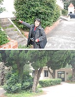 　期盼保留育幼院與老樹，連江縣育幼院院友會長張月仙昨返馬，造訪昔日育幼院舊址的連江山莊。（圖／文：邱竟瑋）