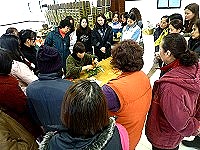 　連江縣東引鄉婦女分會舉辦盆花組合研習活動，學員們聚精會神觀看指導老師的解說與示範。（圖／文：陳其敏）