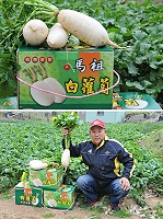 建設局與連江縣農會今年輔導農民推出馬祖白蘿蔔禮盒。(圖/文:陳鵬雄)
