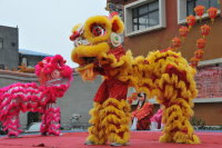 全村一起來熱鬧!(圖與文:張登傑、陳樂團)