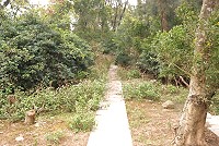 珠螺軍人紀念碑旁有條外地人不知的步道,卻是老一輩珠螺村民共同的記憶。(圖/文:邱竟瑋)