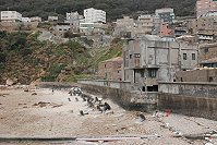 復興村污水處理設施預定地位於畫面中央,接近山邊的位置,在處理設施完工以前,該村的少量生活污水是直接排放到海裡。(圖/文:邱竟瑋)