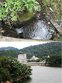 長期受集水區污染困擾的勝利水庫,圖為上游污染情況。(圖/文:邱竟瑋)