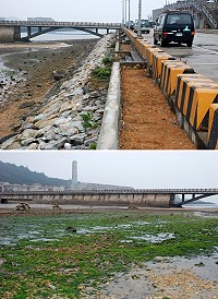 清水濕地工程,完成的花台將種植一系列原生植物。(圖/文:邱竟瑋)