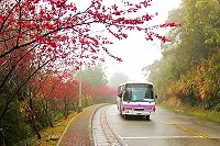 全村一起來熱鬧!(圖與文:張登傑、陳樂團)