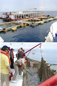 北竿旅遊業者計畫由台引進海上休閒活動平台以及友善型定置網,推展馬祖休閒海洋牧場。(圖:北竿王姓業者提供)