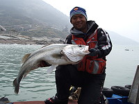 　這一波海象轉好將為馬祖揭開今年鱸魚正季。（圖：鱸魚殺手蔡凱恩提供）