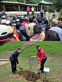 響應植樹節及搭上櫻花熱潮,建設局昨天上午特別於勝天公園舉辦「雙人親子情人植樹活動」,吸引額滿的夫妻檔、情侶檔及親子檔參加;縣長楊綏生、鄭嬌英夫婦也認領了一株,與大家一起共同種下未來的櫻花大樹。(圖/文:曹重偉)