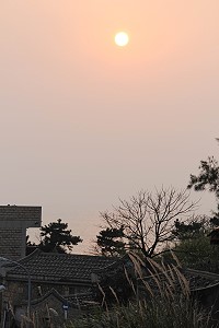 　夕照。（圖與文：林冰芳）