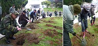 　東引軍民共同在中正堂附近道路兩旁栽植櫻花樹，綠美化環境。（圖／文：陳其敏）