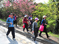 全村一起來熱鬧!(圖與文:張登傑、陳樂團)