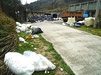 　東引軍報社舊址附近道路散落許多保麗龍，造成環境髒亂。（圖／文：陳其敏）