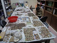 抽絲剝繭　圖：馬祖民俗文物館