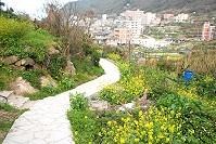復興村舊步道更新,勾起居民就診與輸送農產品的回憶。(圖/文:邱竟瑋)