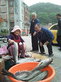 山隴市場這幾天有鱸魚叫賣,一斤150-170元。(圖:本報編輯部)