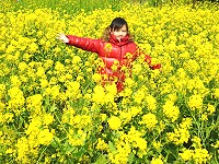 　天真遇上爛漫。（圖與文：陳其敏）