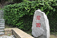 　北竿碧園公園花崗石砌擋牆原生薜荔進行綠化，綠油油的枝葉完全取代生硬花崗石。（圖／文：陳鵬雄）