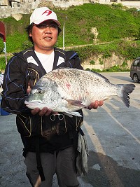 　「不列名」的最大尾。（圖與文：陳其敏）