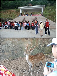 　2012年大坵生態之旅昨啟航，吸引100多名旅客及仁愛國小師生登島參觀。（圖：仁愛國小提供）