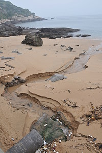 　奔流入海。（圖與文：陳鵬雄）
