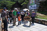 　全村一起來熱鬧！（圖與文：張登傑、陳樂團）
