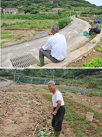 坂里農地荒廢比例一年高於一年,務農人口出現斷層是未來農業再生最大隱憂。(圖/文:陳鵬雄)