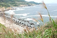 　垃圾長龍。（圖與文：邱竟瑋）