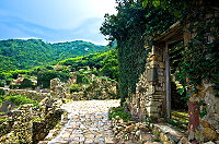 全村一起來熱鬧!(圖與文:張登傑、陳樂團)