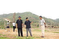 　工務局確定勝利坑道為土資場預定地，縣長楊綏生現地了解後走入福正土石方堆放區並要求落實分類工作。（圖／文：林冰芳）