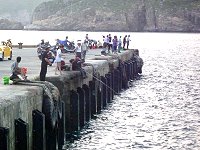 　東引中柱港，釣鯖魚、馬加魚熱況，是許多民眾近來最嚮往的休閒活動。（圖／文：陳其敏）