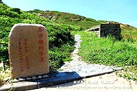 全村一起來熱鬧!(圖與文:張登傑、陳樂團)
