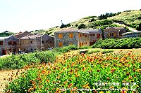 全村一起來熱鬧!(圖與文:張登傑、陳樂團)