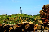 全村一起來熱鬧!(圖與文:張登傑、陳樂團)