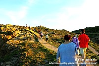 全村一起來熱鬧!(圖與文:張登傑、陳樂團)