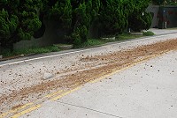 南竿珠螺往馬港方向接近后澳水庫路段昨天中午有砂石車散落大量土石,造成路面顛簸,險象環生。(圖/文:邱竟瑋)