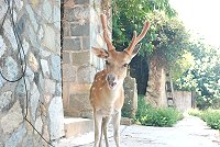 全村一起來熱鬧!(圖與文:張登傑、陳樂團)