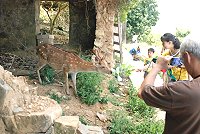 全村一起來熱鬧!(圖與文:張登傑、陳樂團)