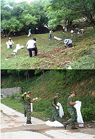 環保局協調北竿鄉公所以及北高指揮部,針對大坵島廢棄玻璃瓶展開大規模清除工作。(圖:環保局提供)