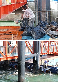 蘇拉颱風帶來大批海漂垃圾,港務處同仁持續數日的打撈工作,頂著烈日每天清出數十袋的垃圾。(圖/文:劉秋月)