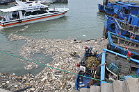 　大量海漂垃圾入侵白沙碼頭，港務機關雇工下海撈垃圾。（圖／文：陳鵬雄）