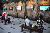 全村一起來熱鬧!(圖與文:張登傑、陳樂團)