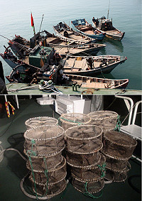 馬祖海巡隊此次威力掃蕩特別規劃拂曉出擊,一舉緝獲7艘非法越界作業大陸漁船,並沒入蟹籠等漁具。(圖:馬祖海巡隊提供)