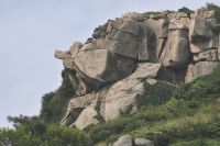 　芹山鷹巢。（圖與文：陳鵬雄）