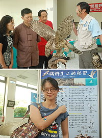 縣府昨首度舉辦馬祖野鳥標本展,自民國85年蒐集的生態保育野鳥標本精選50件,其中有多件是全國僅馬祖發現。另外,現場更舉辦了野鳥彩繪活動,在參加者手臂上進行彩繪。(圖/文:邱竟瑋)