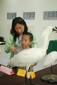 　親子賞「鳥」樂趣多。（圖與文：邱竟瑋）